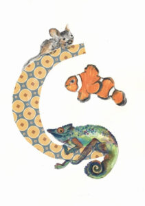 Tier ABC Judit Hölzle-Kuhn