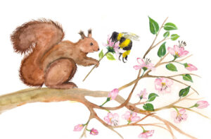 Eichhörnchen mit Biene
