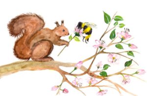 Judit Hölzle-Kuhn, Tierillustationen