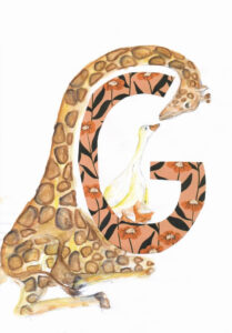 Tier ABC Judit Hölzle-Kuhn