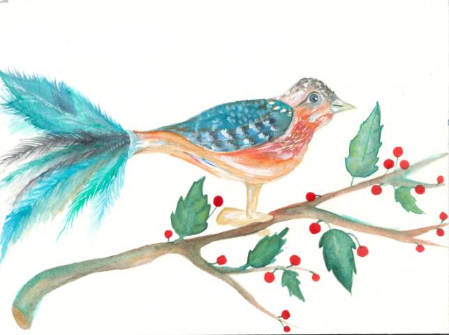 Judit Hölzle-Kuhn, Tierillustationen