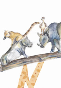 Tier ABC Judit Hölzle-Kuhn