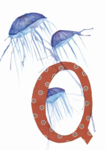 Tier ABC Judit Hölzle-Kuhn