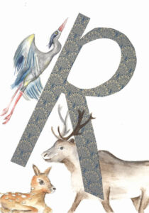 Tier ABC Judit Hölzle-Kuhn