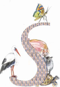 Tier ABC Judit Hölzle-Kuhn