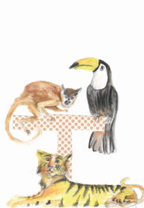 Tier ABC Judit Hölzle-Kuhn