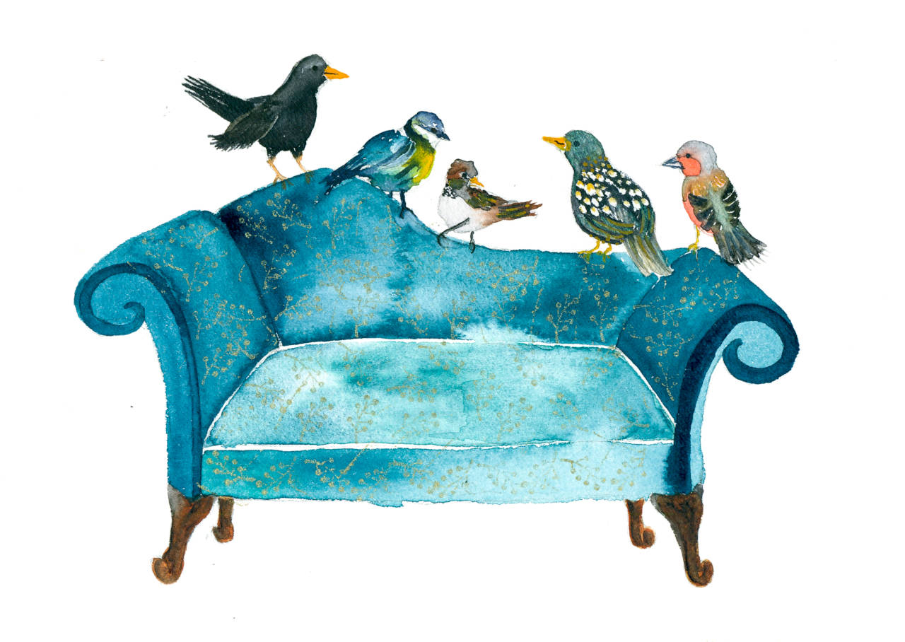 Singvögel auf Sofa