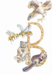 Tier ABC Judit Hölzle-Kuhn