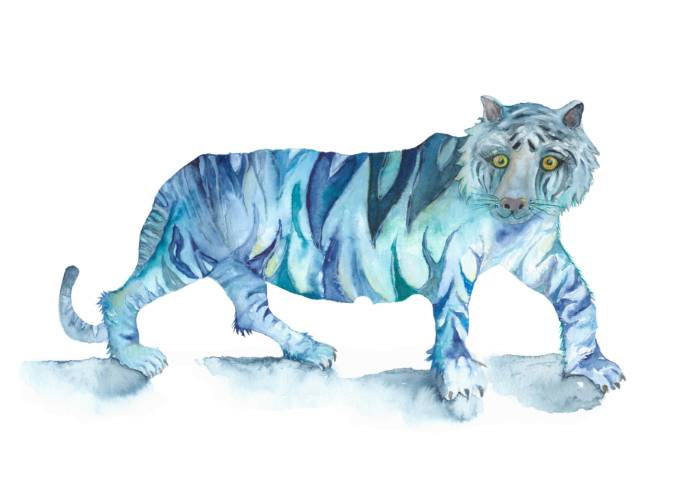 Judit Hölzle-Kuhn, Tierillustationen